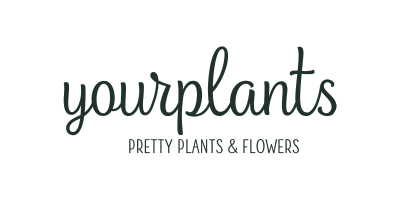 yourplants.nl