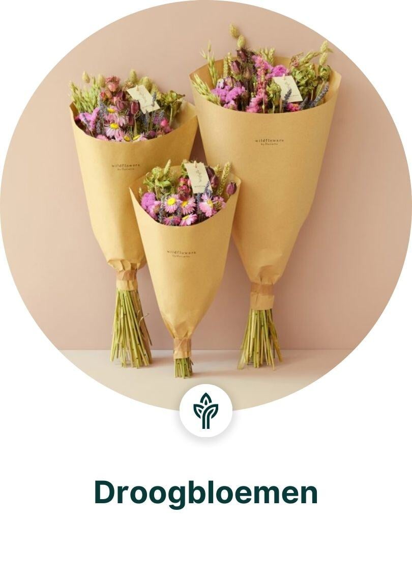 Droogbloemen dropshippen