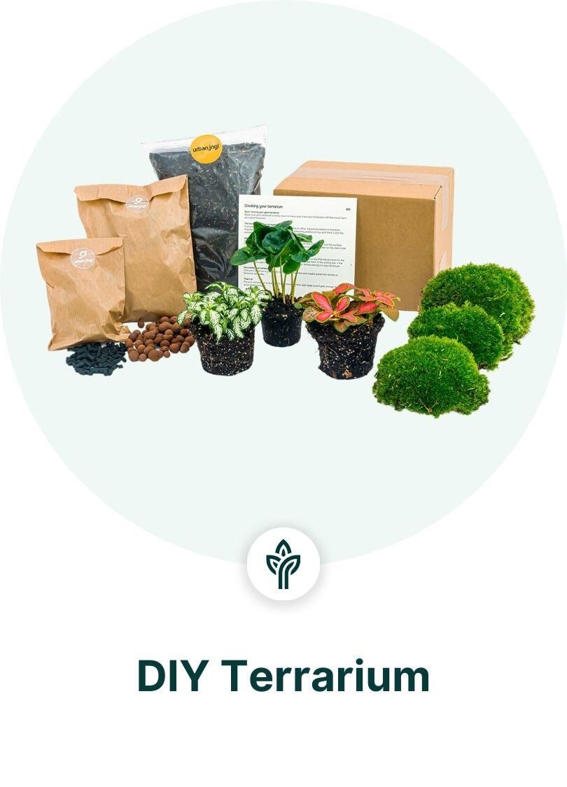 DIY Terrarium Dropshipping