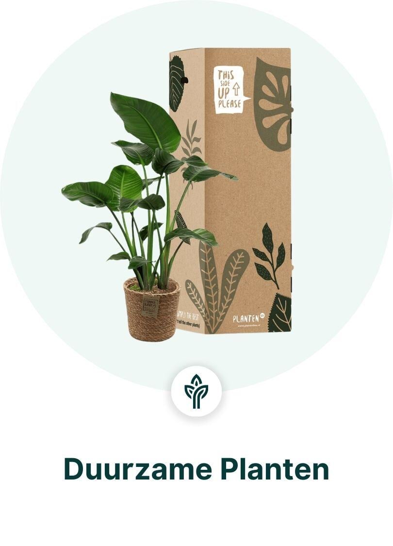 Duurzame planten dropshippen