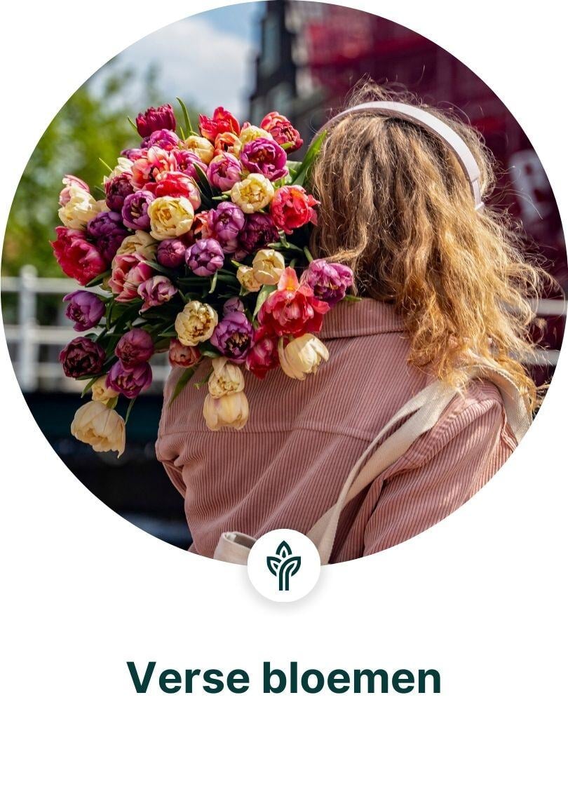 Bloemen dropshippen