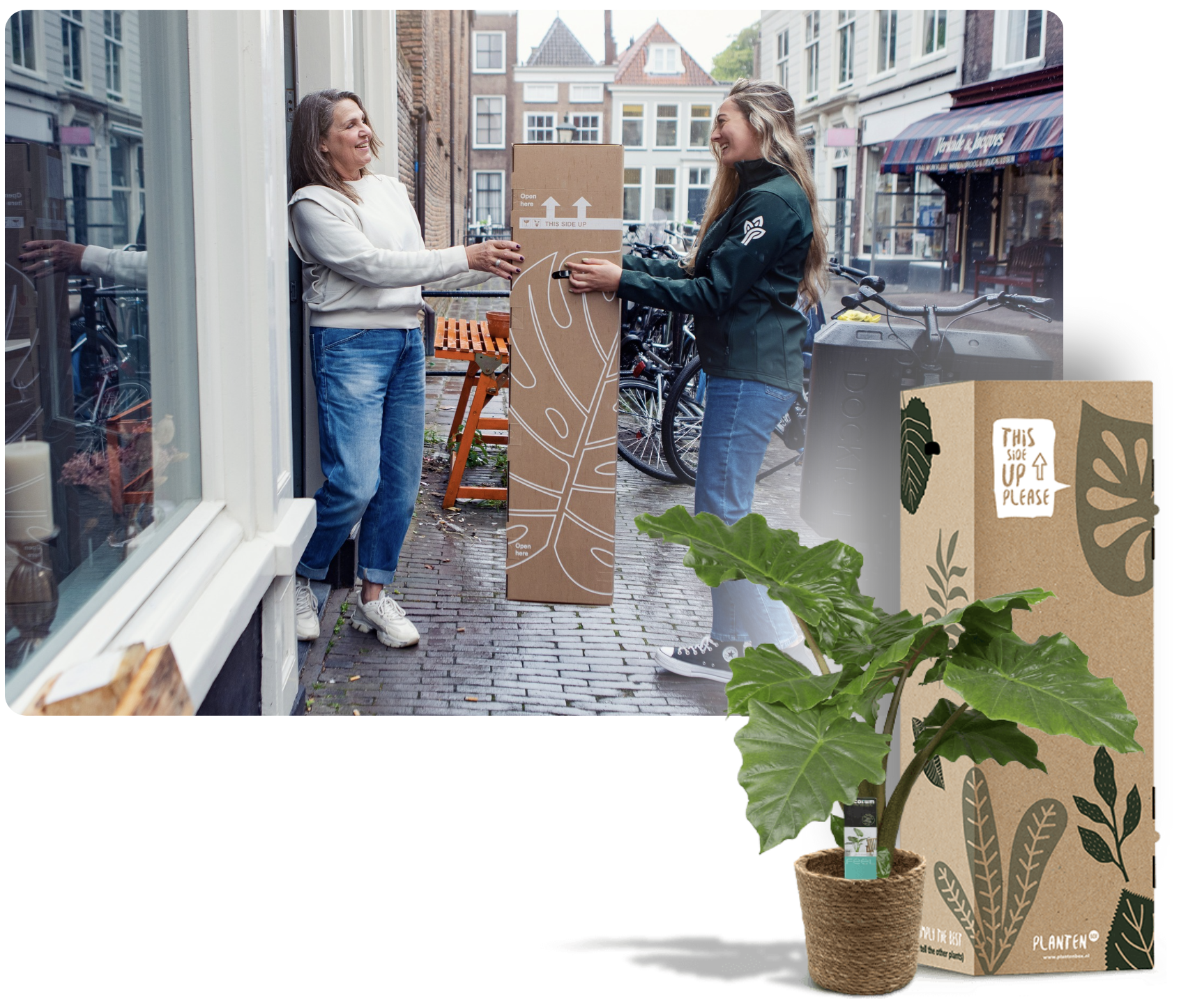 delivery secure plants dropshipping